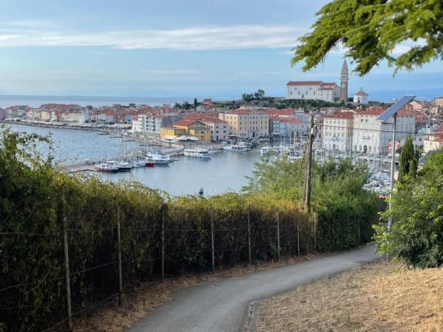 Apartments Cliff Piran Exterior photo